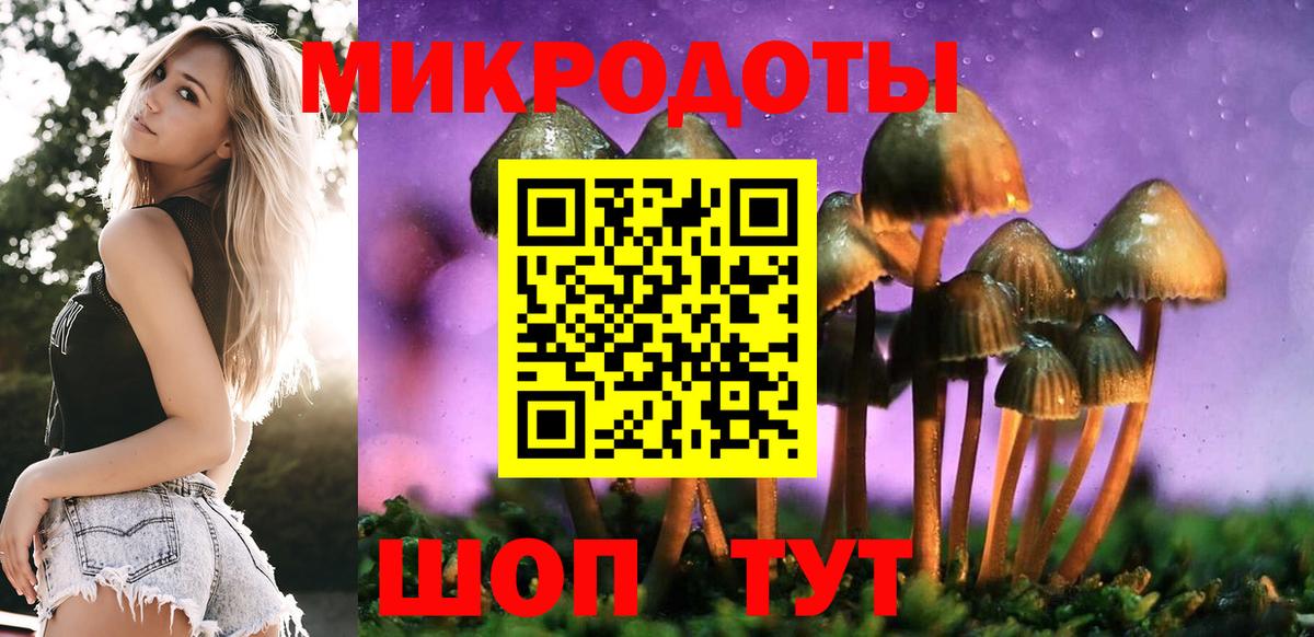 Псилоцибиновые грибы ЛСД Королёв