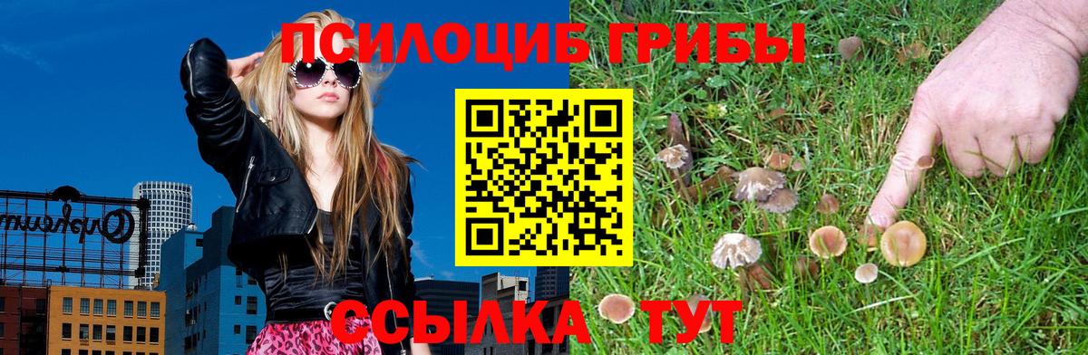 Псилоцибиновые грибы Psilocybine cubensis  Вход с VPN  где купить   Королёв 